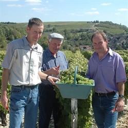 Marchand Pierre et Fils, Pouilly-sur-Loire - Horaires d'ouverture