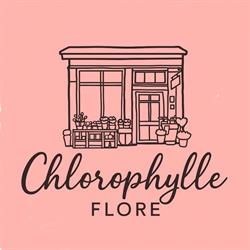 CHLOROPHYLLE FLORE Divonne-les-Bains - Horaires d'ouverture