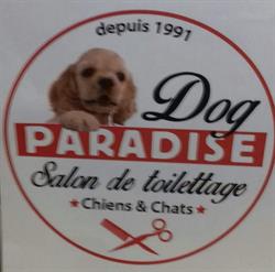Dog Paradise, Audierne - Horaires d'ouverture