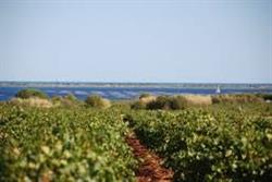 Domaine La Madeleine Saint Jean, Marseillan - Horaires d'ouverture