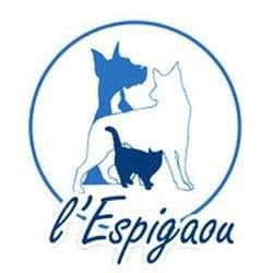 Clinique vétérinaire l' Espigaou, Lambesc - Horaires d'ouverture