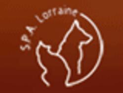 S.L.P.A Société Lorraine Protectrice des Animaux, Amance - Horaires d'ouverture