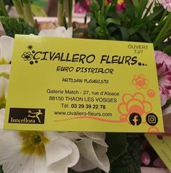 Euro Distriflor, Thaon-les-Vosges - Horaires d'ouverture