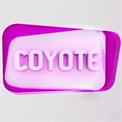 Coyote Conseil, Paris - Horaires d'ouverture