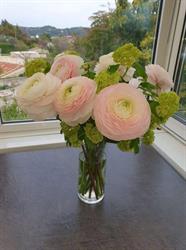 Fleurissimo, Grasse - Horaires d'ouverture