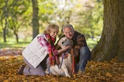 Ani Seniors-Services, Canet-en-Roussillon - Horaires d'ouverture