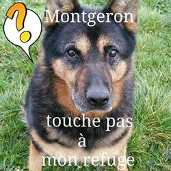 Animaux sans Foyer, Montgeron - Horaires d'ouverture