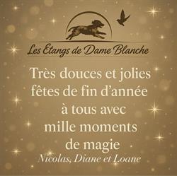 Des Etangs de Dame Blanche, Auge - Horaires d'ouverture