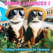 Clinique Vétérinaire de l'Avenue, Rennes - Horaires d'ouverture