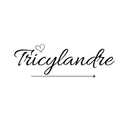 Tricylande SARL, Aulnoye-Aymeries - Horaires d'ouverture