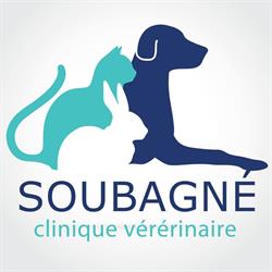 Clinique Vétérinaire Soubagné, Roanne - Horaires d'ouverture