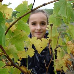 Domaine Des Matines, Brossay - Horaires d'ouverture