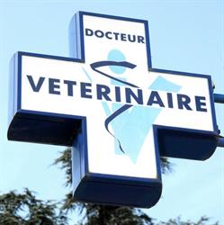 Faisandier Chol, Saint-Just-Saint-Rambert - Horaires d'ouverture