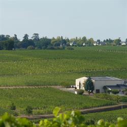 Domaine Des Noëls, Faye-d'Anjou - Horaires d'ouverture