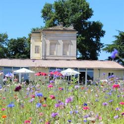 Château Lartigue-Cèdres - Distillerie Lartigue, Croignon - Horaires d'ouverture