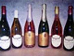 Souciou Philippe Domaine du Paradis, Onzain - Horaires d'ouverture