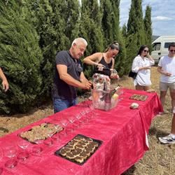 Domaine Comelade, Estagel - Horaires d'ouverture