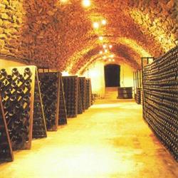 Champagne Alain Mercier, Passy-sur-Marne - Horaires d'ouverture