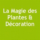 Le Monde Des Orchidees Et La Magie Des Plantes, Saint-Pierre - Horaires d'ouverture