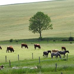 La ferme du Vallon, Moirey-Flabas-Crépion - Horaires d'ouverture