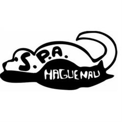 S.p.a. - Sté Protectrice Des Animaux, Haguenau - Horaires d'ouverture