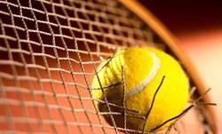 Tennis Club, Wasselonne - Horaires d'ouverture