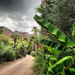 Tropicana Flore, Roquebrune-sur-Argens - Horaires d'ouverture