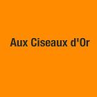 Aux Ciseaux d'Or, Vagney - Horaires d'ouverture