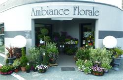 Ambiance Florale, Saint-Florent-le-Vieil - Horaires d'ouverture