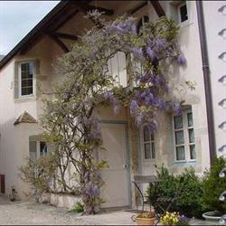 Beaune Hôtel, - Horaires d'ouverture