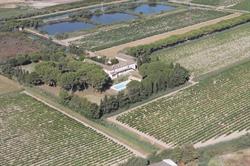 Scea Domaine de Rancia, Aigues-Mortes - Horaires d'ouverture