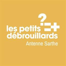 Les Petits Débrouillards Pays de Loire, Le Mans - Horaires d'ouverture