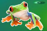 La Grenouille, Villars-les-Dombes - Horaires d'ouverture