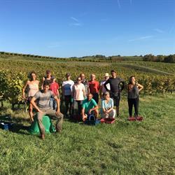 Vignoble Tinon, Sainte-Croix-du-Mont - Horaires d'ouverture