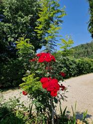 Camping Caravaning Le Daxia, Saint-Clair-du-Rhône - Horaires d'ouverture