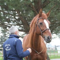 Haras National, Villeréal - Horaires d'ouverture