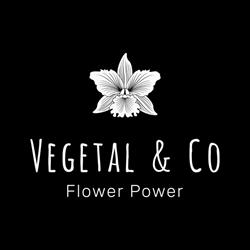 Vegetal and Co Fleuriste Nogent le Roi, Nogent-le-Roi - Horaires d'ouverture