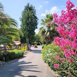 Camping City Nature, Lescar - Horaires d'ouverture