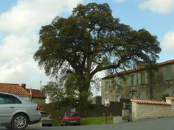 Mairie, La Bretonnière-la-Claye - Horaires d'ouverture