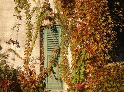 Pays Haut Languedoc et Vignobles, Saint-Chinian - Horaires d'ouverture