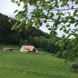 Ferme Auberge des Cimes, Urbeis - Horaires d'ouverture