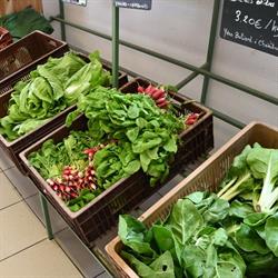 Coopérative Les Bourrons Couchus, Joyeuse - Horaires d'ouverture