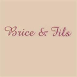 Brice Et Fils, Pont-à-Mousson - Horaires d'ouverture