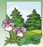 ROUSSEAU HORTICULTURE Productions florales et sapins de Noël, Liernais - Horaires d'ouverture
