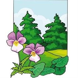 ROUSSEAU HORTICULTURE Productions florales et sapins de Noël, Liernais - Horaires d'ouverture