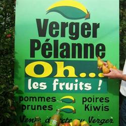 Verger Pelanne, Sault-de-Navailles - Horaires d'ouverture