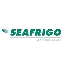 SEAFRIGO GROUP - Siège Social, Le Havre - Horaires d'ouverture