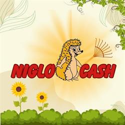 Niglo-Cash, Sommette-Eaucourt - Horaires d'ouverture