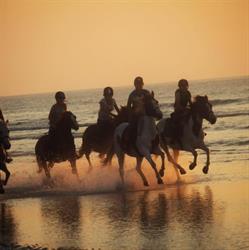 Poney Club de La Pierre Grise, Montivilliers - Horaires d'ouverture
