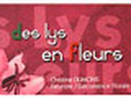 Des Lys En Fleurs, Tournefeuille - Horaires d'ouverture